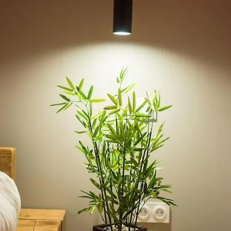 Apartment Le Petit Paradis *